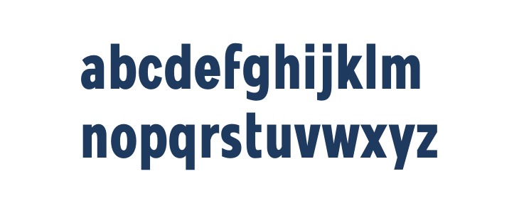 MollenPersonalUse-BoldCond Lowercase