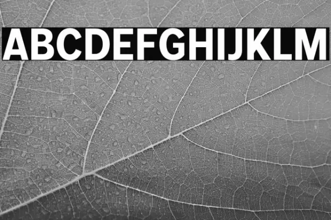 MollenPersonalUse-BoldNarrow Font examples