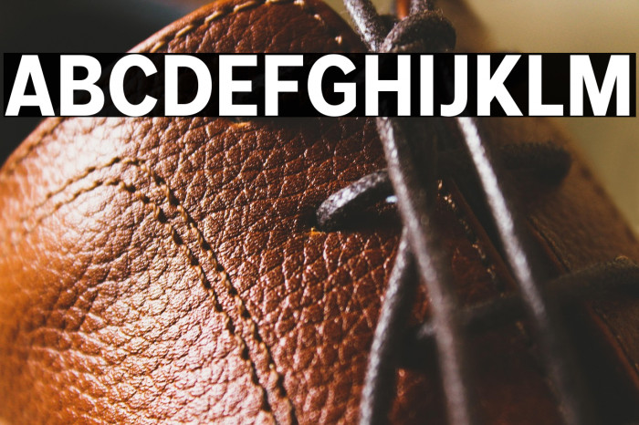 MollenPersonalUse-BoldNarrow Example 2