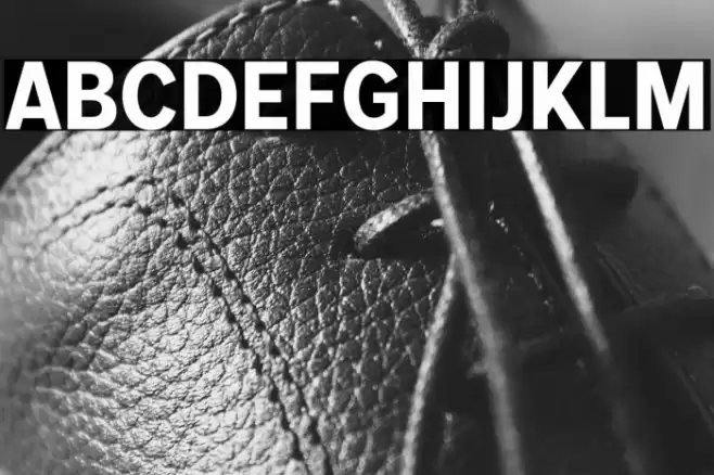 MollenPersonalUse-BoldNarrow Font examples