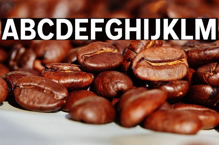 MollenPersonalUse-BoldNarrow Example 3