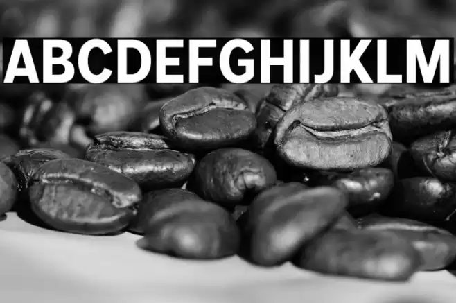 MollenPersonalUse-BoldNarrow Font examples