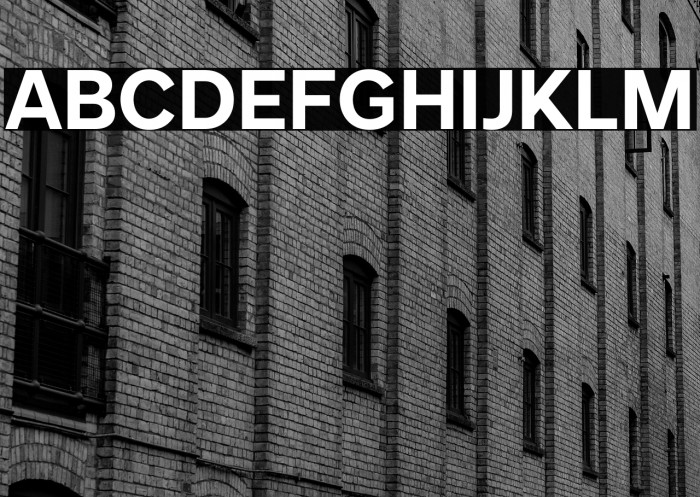 MollenPersonalUse-Bold Example 1