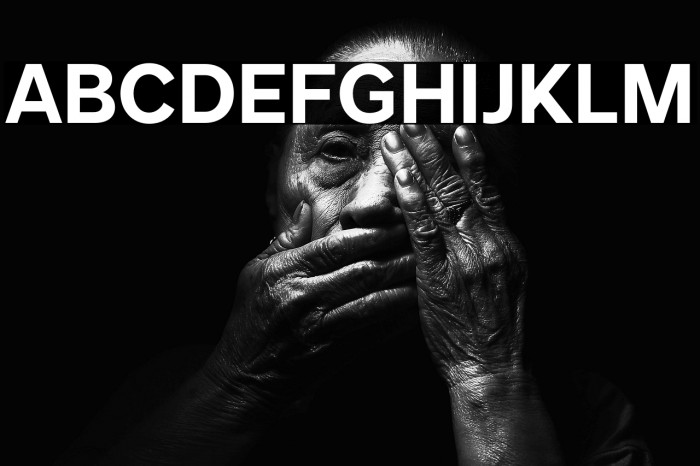 MollenPersonalUse-Bold Example 2