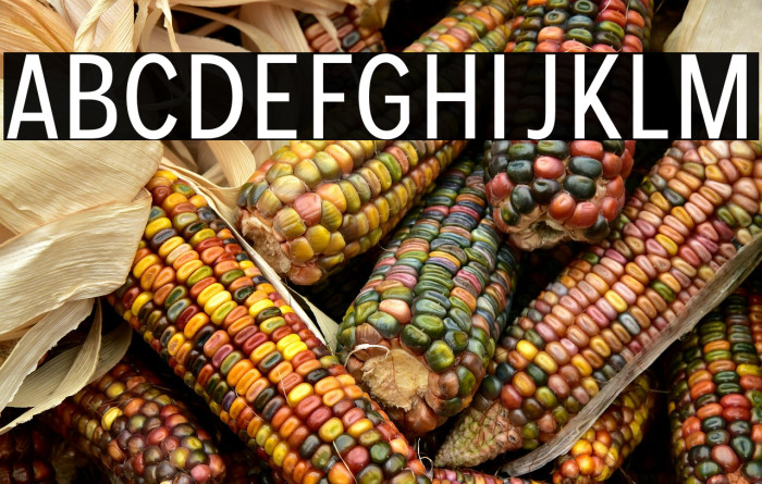 MollenPersonalUse-Condensed Example 1