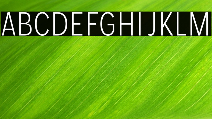 MollenPersonalUse-LightCond Example 2