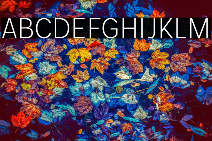 MollenPersonalUse-LightNarrow Example 3