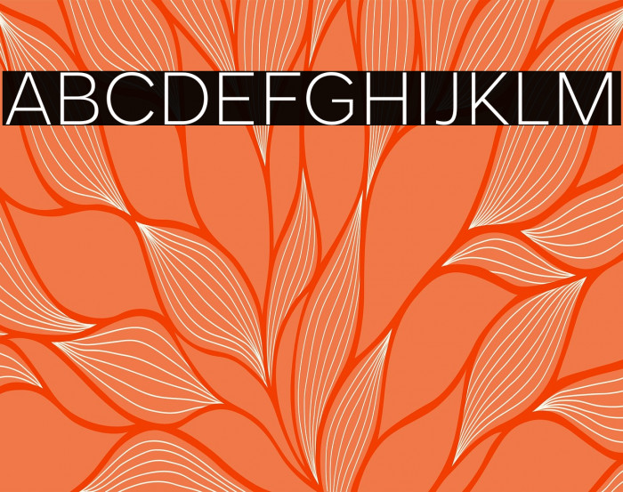 MollenPersonalUse-Light Example 1