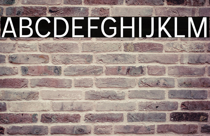 MollenPersonalUse-Narrow Example 2