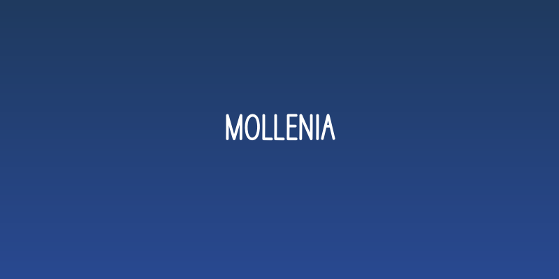 Mollenia Social Header