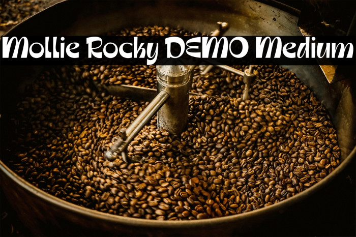 Mollie Rocky DEMO Medium Example 1