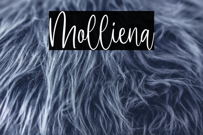 Molliena Example 1
