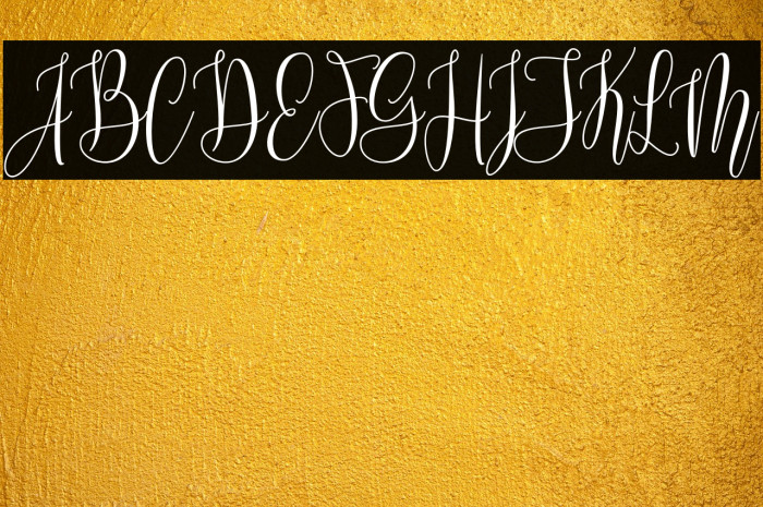 MollindaScriptDemo Example 1