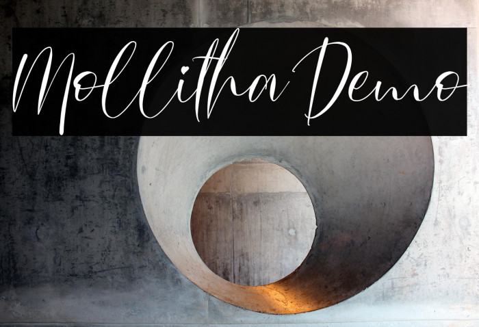 Mollitha Demo Example 1