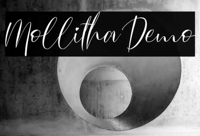 Mollitha Demo Example 1