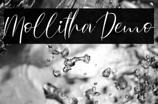 Mollitha Demo Example 2