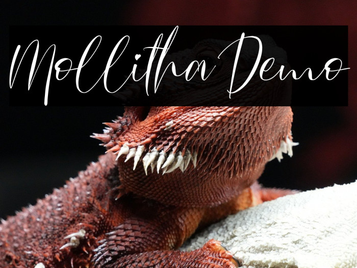 Mollitha Demo Example 3