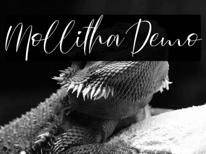 Mollitha Demo Example 3