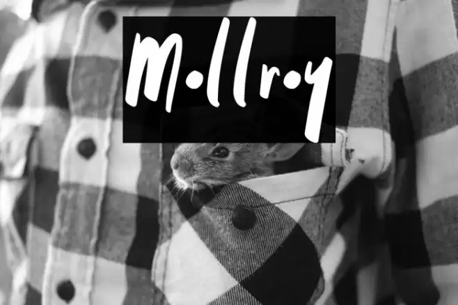 Mollroy Font examples