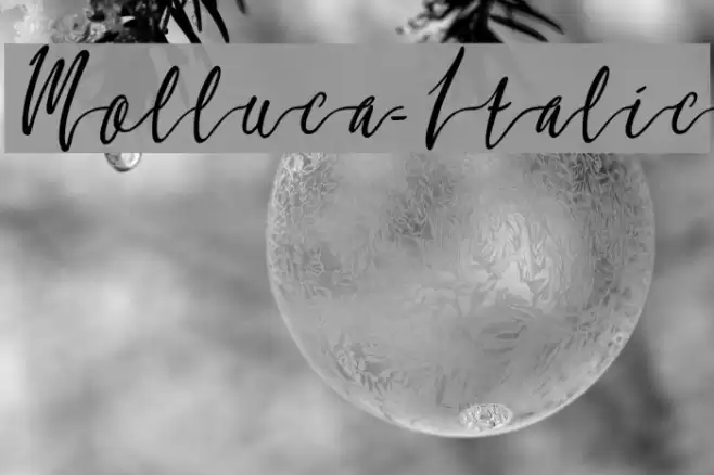 Molluca-Italic Font examples