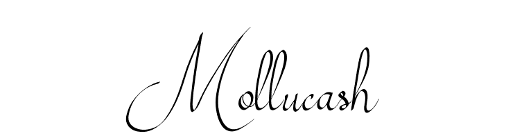 Download Free Mollucash Font Free Fonts Download Fonts Typography
