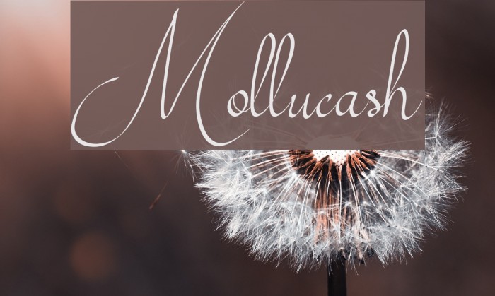 Mollucash Example 2