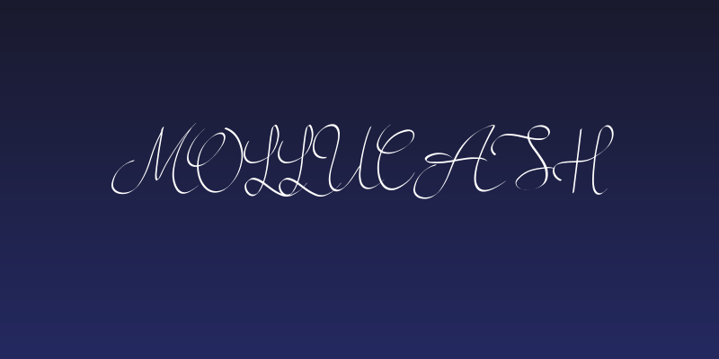 Mollucash Social Header