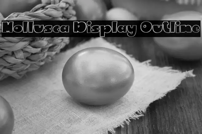 Mollusca Display Outline Example 1