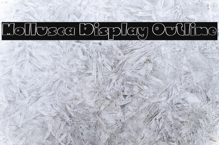 Mollusca Display Outline Example 2