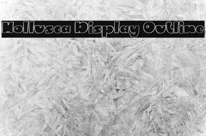 Mollusca Display Outline Example 2