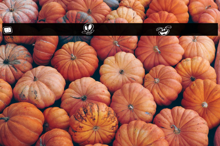 Mollusca Doodle Outline Example 2