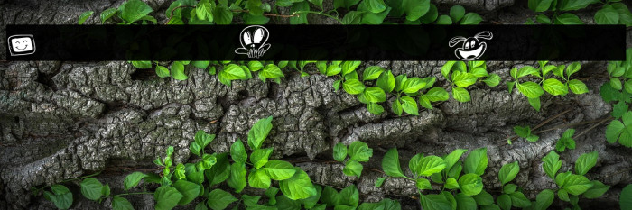 Mollusca Doodle Outline Example 3