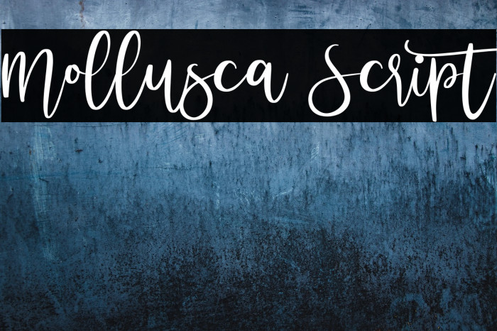 Mollusca Script Example 2