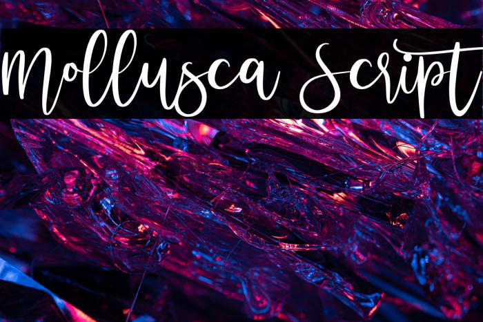 Mollusca Script Example 3