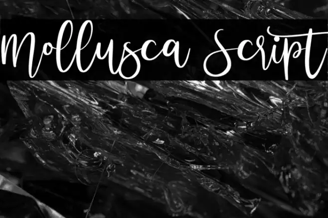 Mollusca Script Example 3