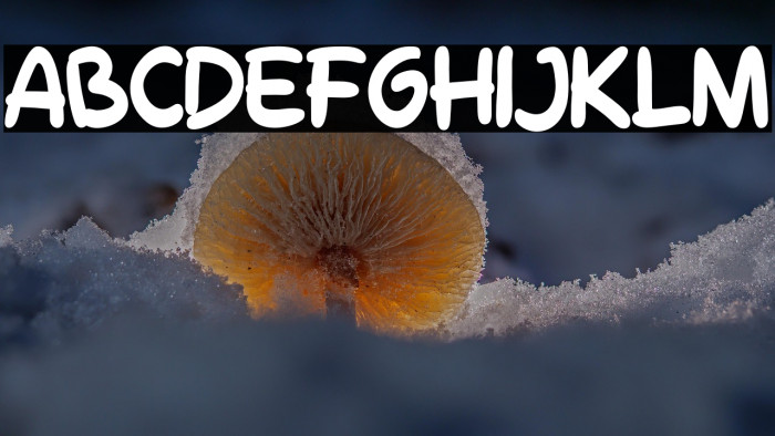 Molly Jack_Regular_Demo Example 2