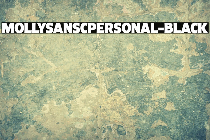 MollySansCPERSONAL-Black Example 1