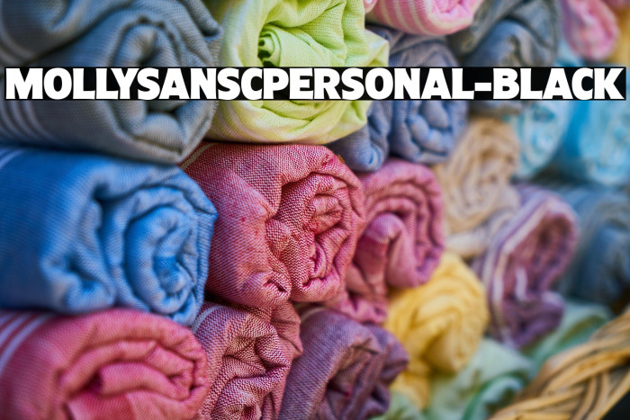 MollySansCPERSONAL-Black Example 2