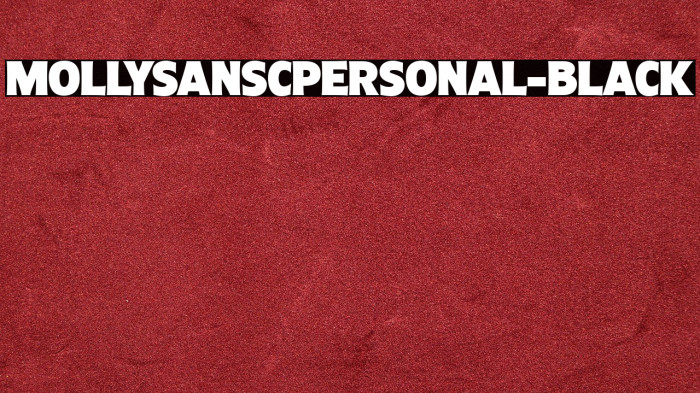 MollySansCPERSONAL-Black Example 3