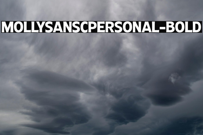 MollySansCPERSONAL-Bold Example 1