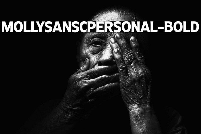 MollySansCPERSONAL-Bold Example 3