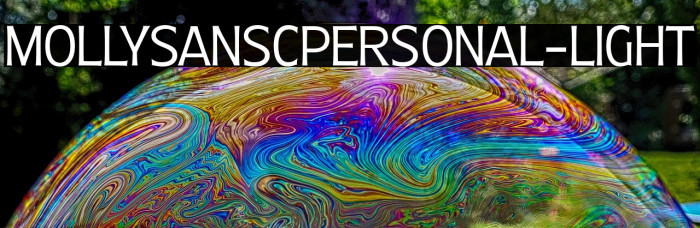 MollySansCPERSONAL-Light Example 2