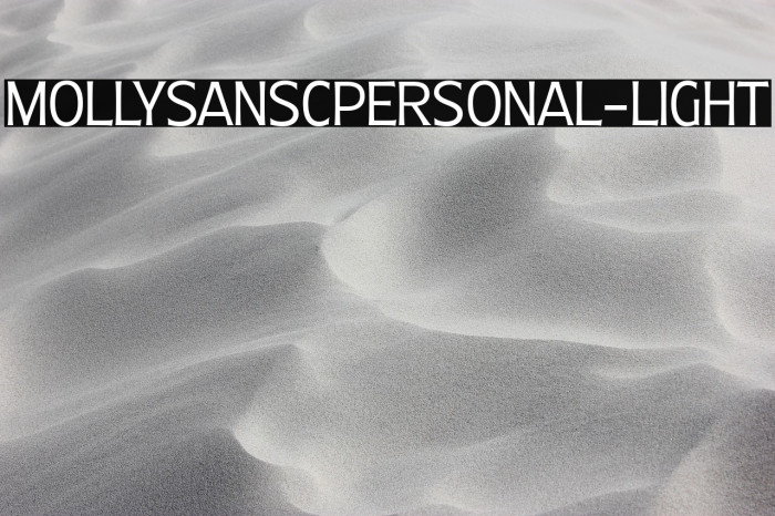 MollySansCPERSONAL-Light Example 3