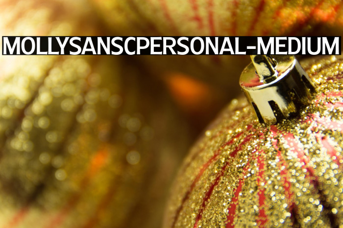 MollySansCPERSONAL-Medium Example 1