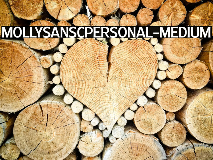 MollySansCPERSONAL-Medium Example 2