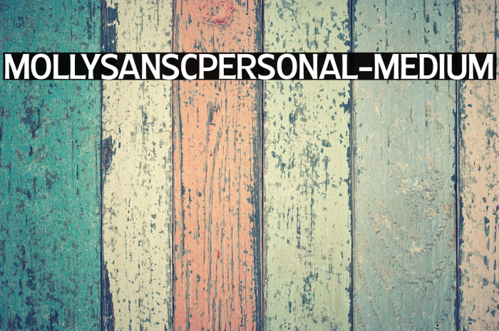 MollySansCPERSONAL-Medium Example 3