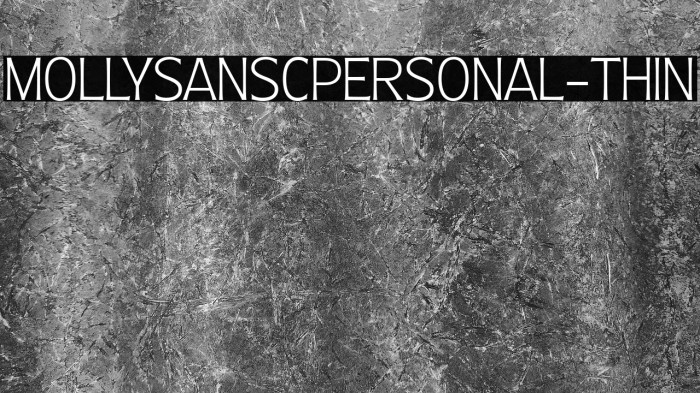 MollySansCPERSONAL-Thin Example 1