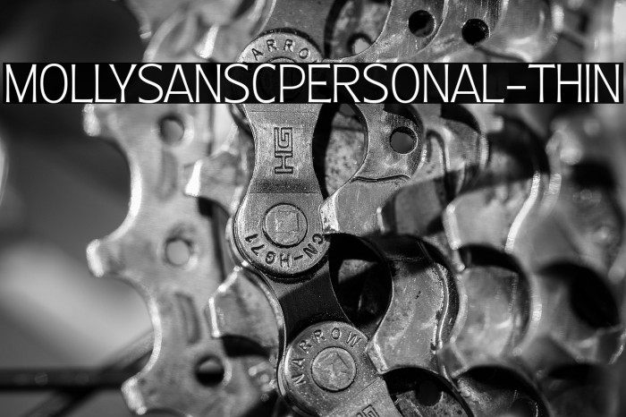 MollySansCPERSONAL-Thin Example 2