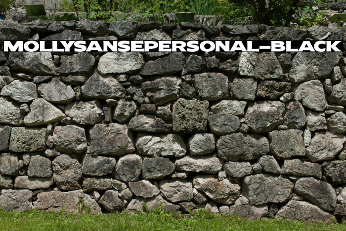 MollySansEPERSONAL-Black Example 1