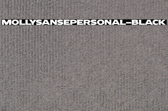 MollySansEPERSONAL-Black Example 2